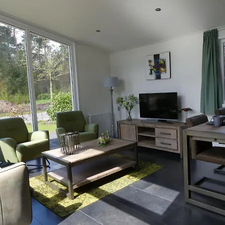 Chalet Modern Chalet With Outdoor Fireplace At The Forest Oldebroek
